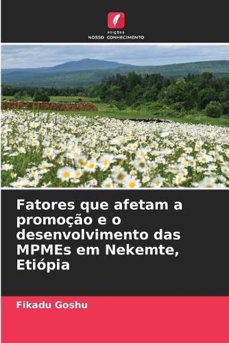 Fatores que afetam a promoção e o desenvolvimento das MPMEs em Nekemte, Etiópia