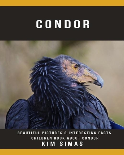 Condor