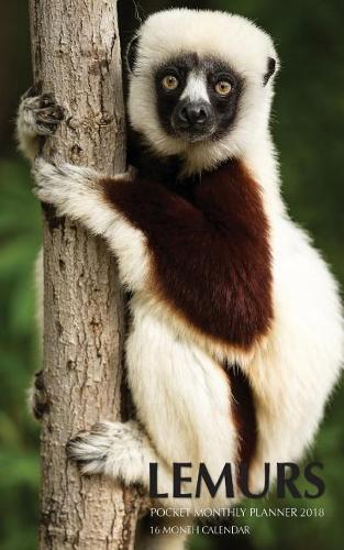 Lemurs Pocket Monthly Planner 2018