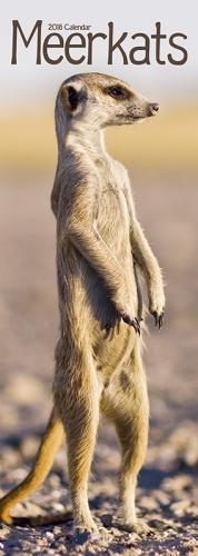 Meerkats Slim Calendar 2018