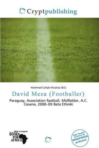David Meza (Footballer)