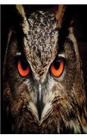 Hoot Hoot Hooray