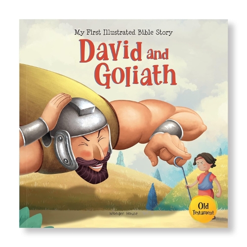 My First Illustrated Bible Story: David And Goliath