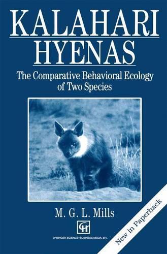 Kalahari Hyenas