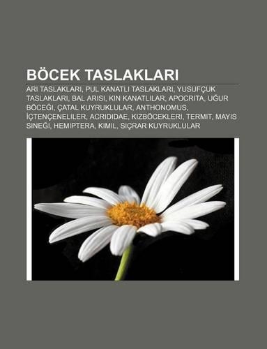 Bocek Taslaklar