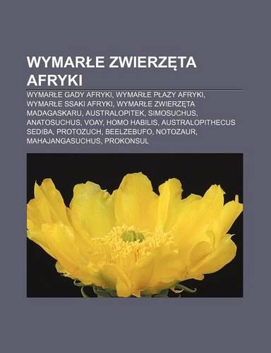 Wymar E Zwierz Ta Afryki