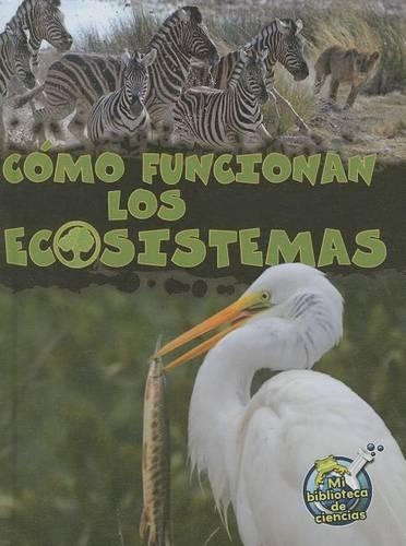 Cómo Funcionan Los Ecosistemas