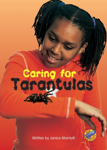 Caring for Tarantulas