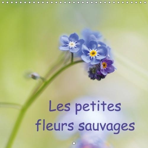 Les Petites Fleurs Sauvages 2018