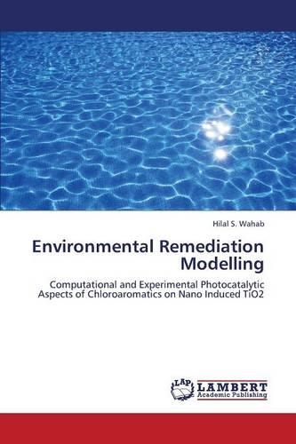 Environmental Remediation Modelling