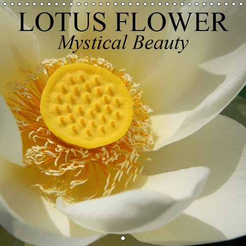 Lotus Flower - Mystical Beauty 2019