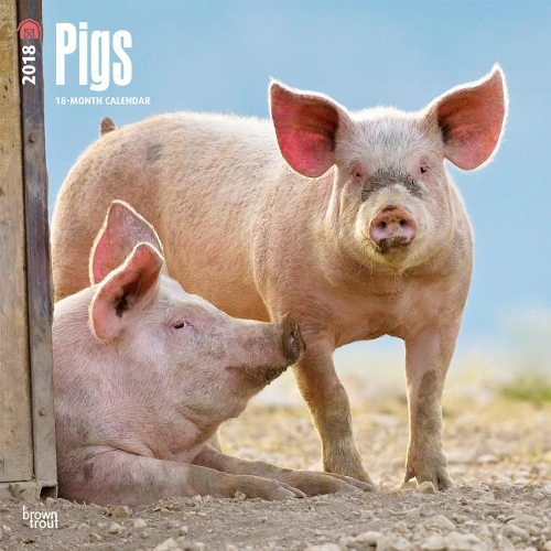 Pigs 2018 Wall Calendar