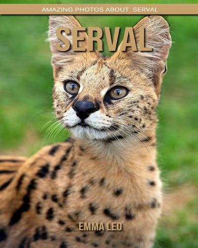 Serval