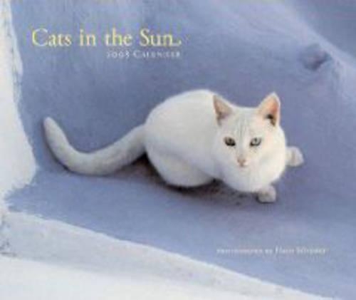 Cats in the Sun Calendar