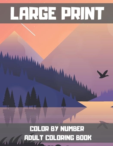 Large Print Color By Number Adult Coloring Book