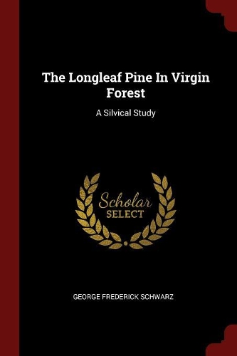 The Longleaf Pine in Virgin Forest