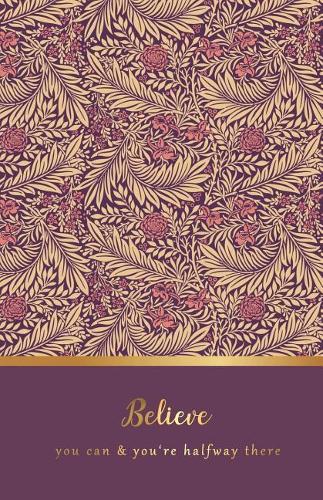 Believe you can & you're halfway there