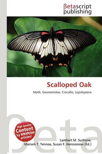 Scalloped Oak
