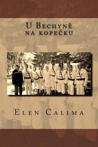 U Bechyne Na Kopecku