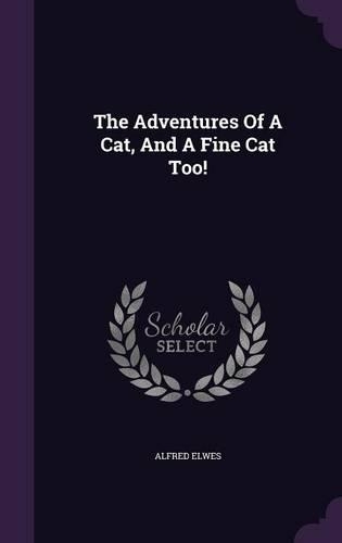 The Adventures of a Cat, and a Fine Cat Too!