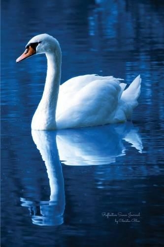 Reflective Swan Journal