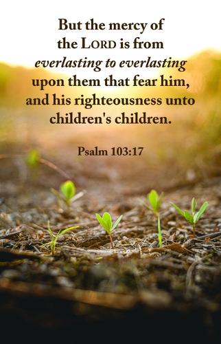 Legacy Bulletin: The Mercy (Package of 100)