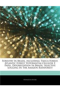 Articles on Forestry in Brazil, Including