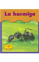 La Hormiga