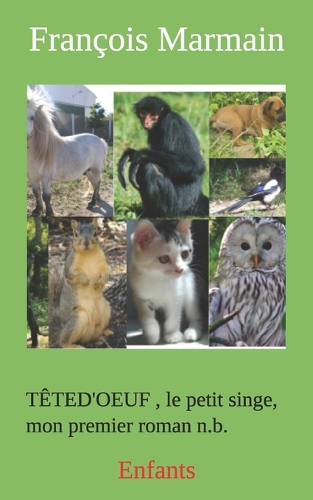 Mon premier roman N.B