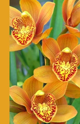 Checking Account Ledger Book