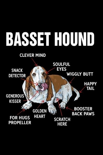Basset Hound