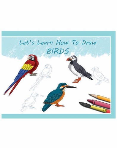 Let's Learn How To Draw Birds