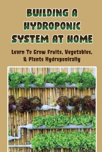 Building A Hydroponic System At Home