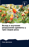 Вклад в изучение разрушения дремоты у треm