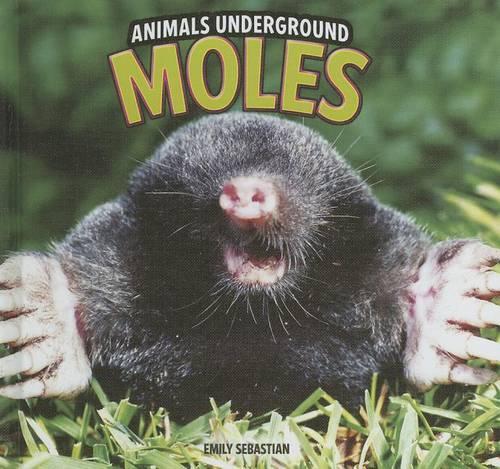 Moles