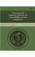 Cloning and Characterization of Micrornas from Sorghum