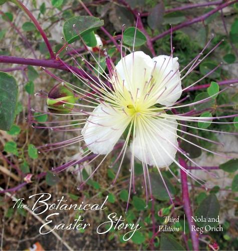 The Botanical Easter Story