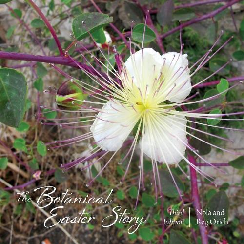 The Botanical Easter Story