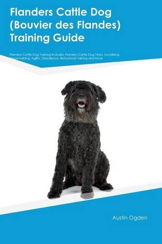 Flanders Cattle Dog (Bouvier des Flandes) Training Guide Flanders Cattle Dog Training Includes: Flanders Cattle Dog Tricks, Socializing, Housetraining, Agility, Obedience, Behavioral Training and More(English)