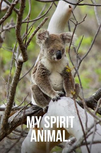 My Spirit Animal