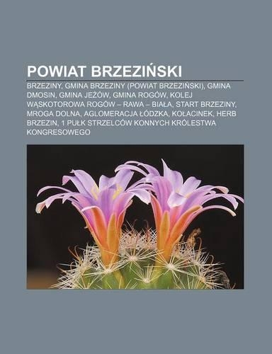 Powiat Brzezi Ski