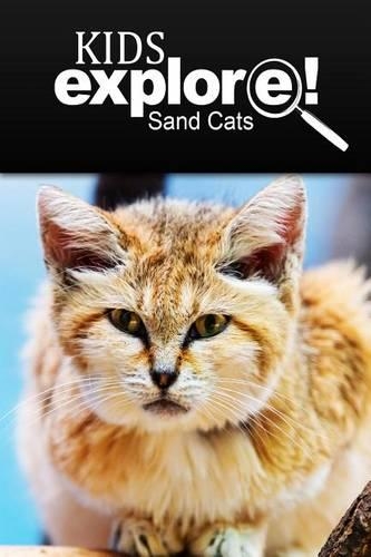 Sand Cats - Kids Explore