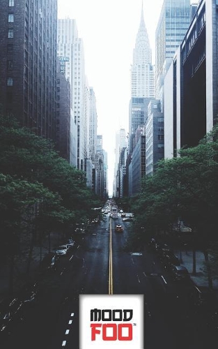 Mood Foo(tm) - Mind Over Mood - Notebook, Log, Journal - Scenic Series - 006