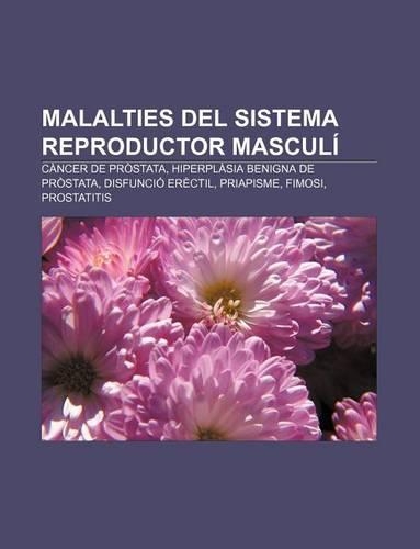 Malalties del Sistema Reproductor Masculi