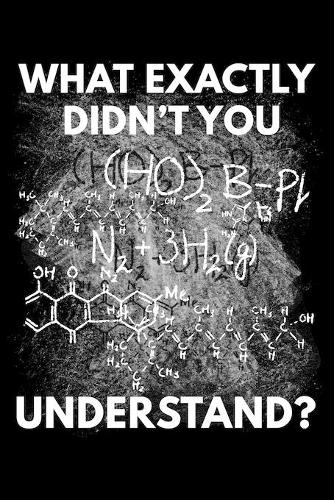 What Exactly Didn't You Understand?