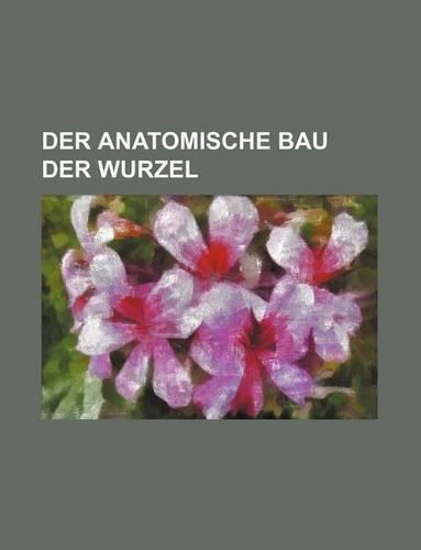 Der Anatomische Bau Der Wurzel