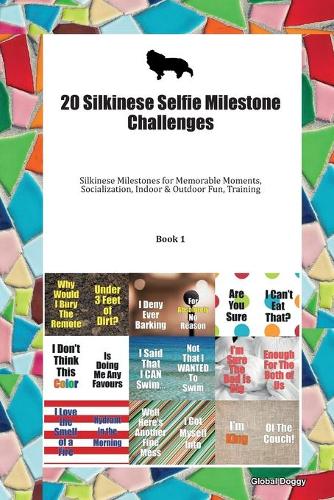 20 Silkinese Selfie Milestone Challenges