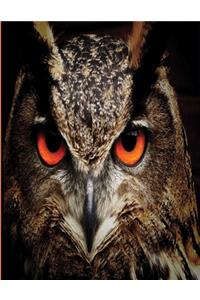 Hoot Hoot Hooray