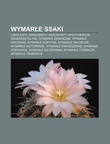 Wymar E Ssaki