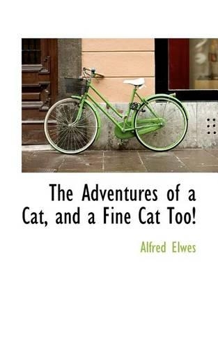 The Adventures of a Cat, and a Fine Cat Too!